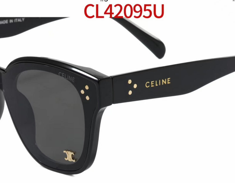 42095 Sunglasses with box