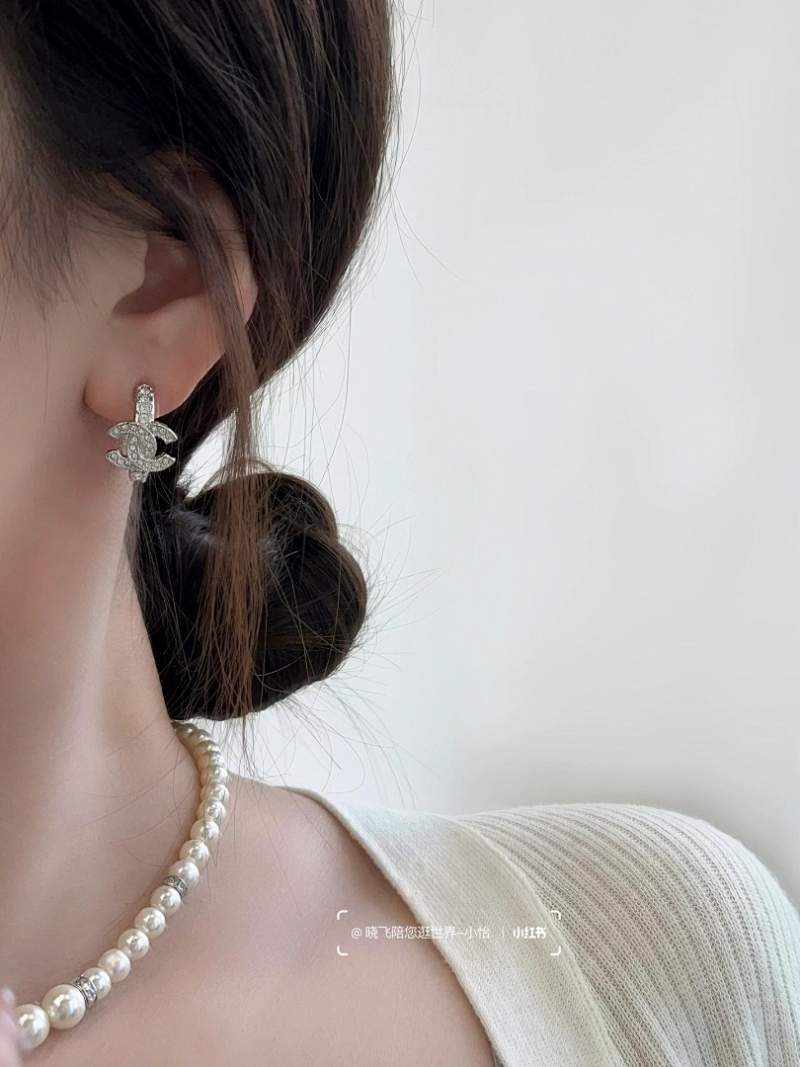 A1189 Women's new fashionable earring jewelry