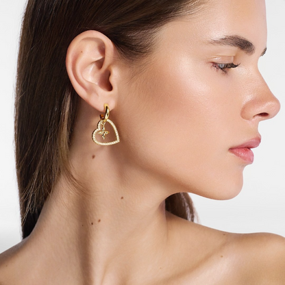 A1105  Women's new fashionable earring jewelry