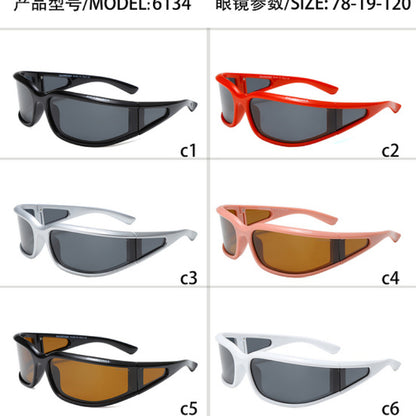 6134 Sunglasses with box