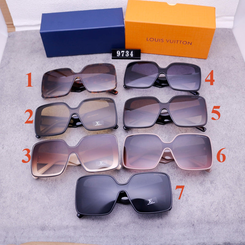 9734 Sunglasses with box