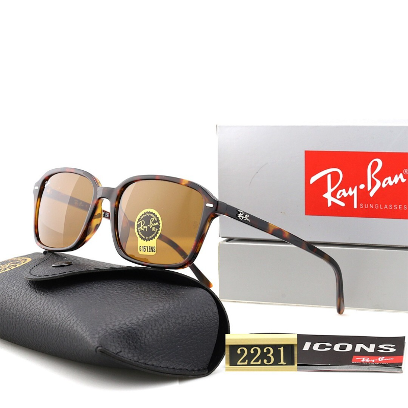 2231  Sunglasses with box