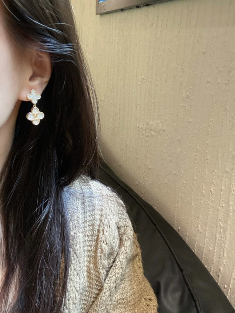 A1208  Women's new fashionable earrings and jewelry