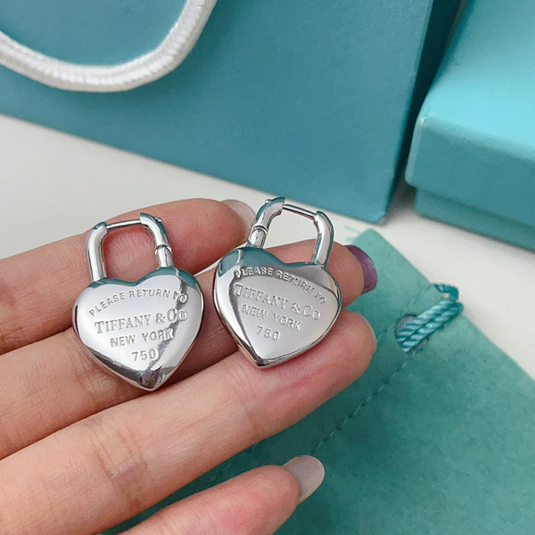 A1153 Women's titanium steel earrings and jewelry