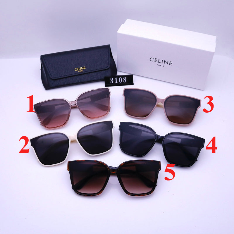 3108  Sunglasses with box