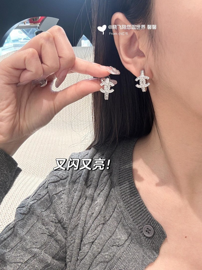 A1189  Women's new fashionable earring jewelry