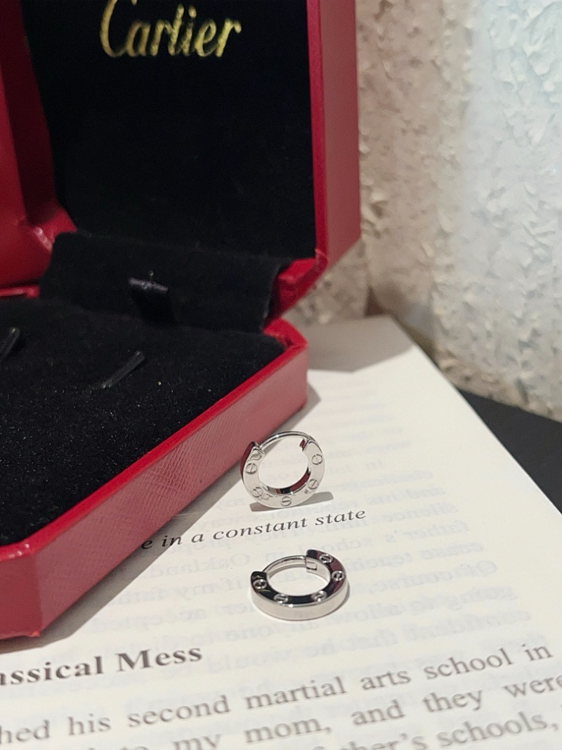 A1238  Women's new fashionable earring jewelry