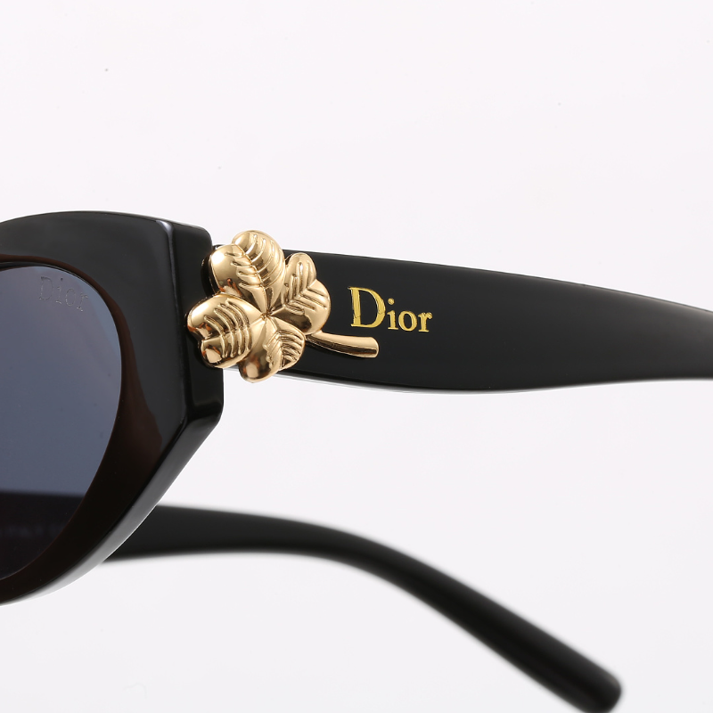 6041  Sunglasses with box