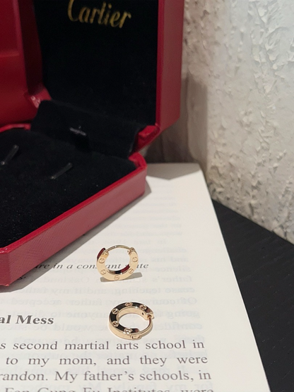 A1238  Women's new fashionable earring jewelry