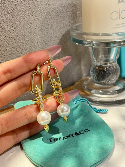 A1239 Women's new fashionable earrings and jewelry