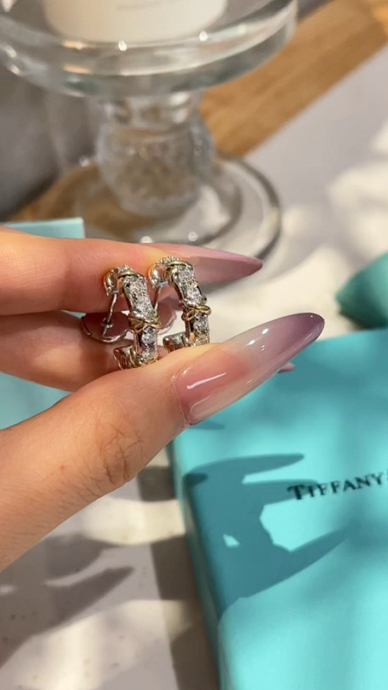 A1241  Women's new earring jewelry