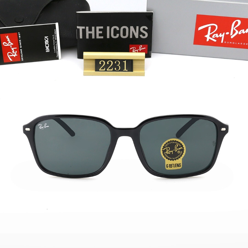 2231  Sunglasses with box