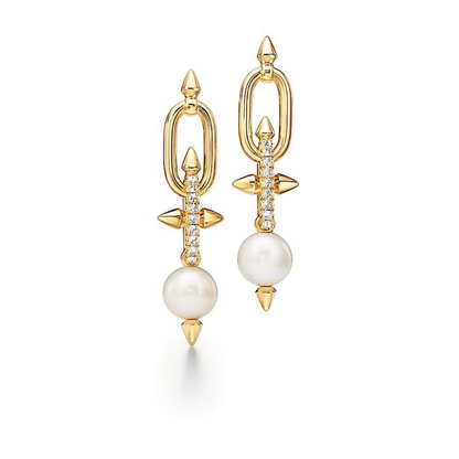 A1239 Women's new fashionable earrings and jewelry