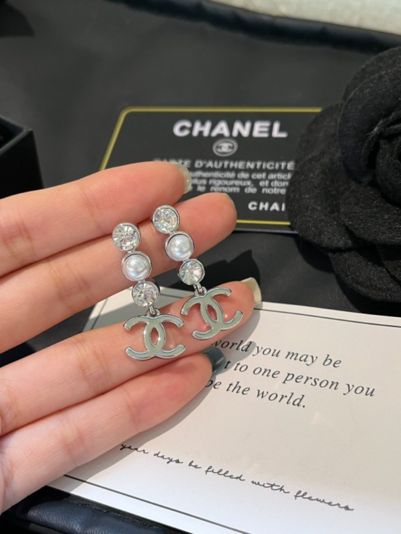 A1198 Women's new fashionable earrings and jewelry