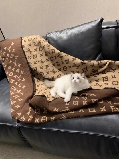 XLC46 Cashmere blend Shawl 130-150CM Scarf