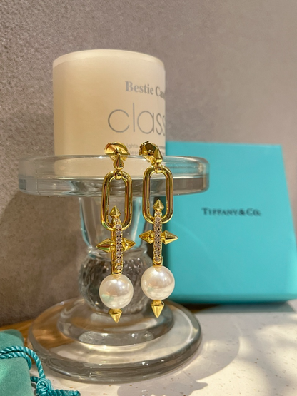 A1239 Women's new fashionable earrings and jewelry