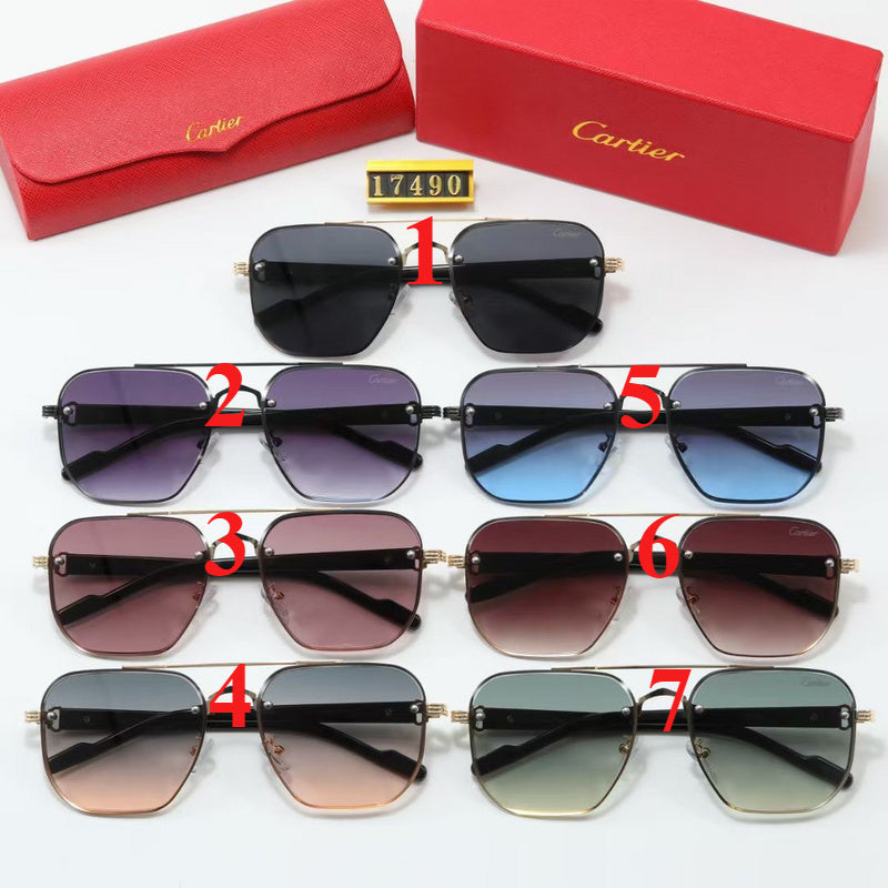 17490 Sunglasses with box