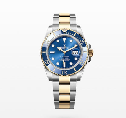 RW72  Men's mechanical watch with 316L steel case 43MM