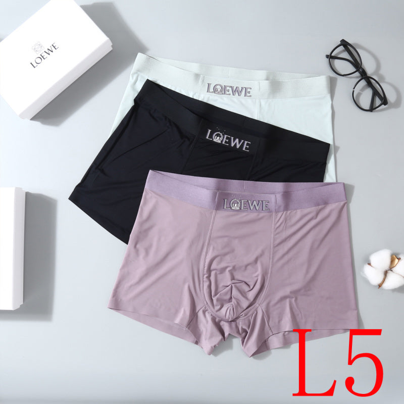 PTS1 All Underpants L-XXXL boxer briefs 3 with Box
