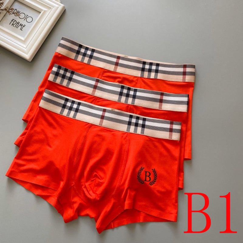 PTS2 All Underpants L-XXXL boxer briefs 3 with Box