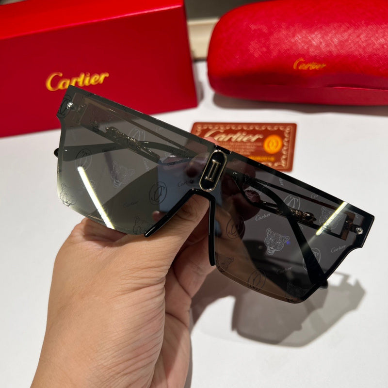 7663 Sunglasses with box