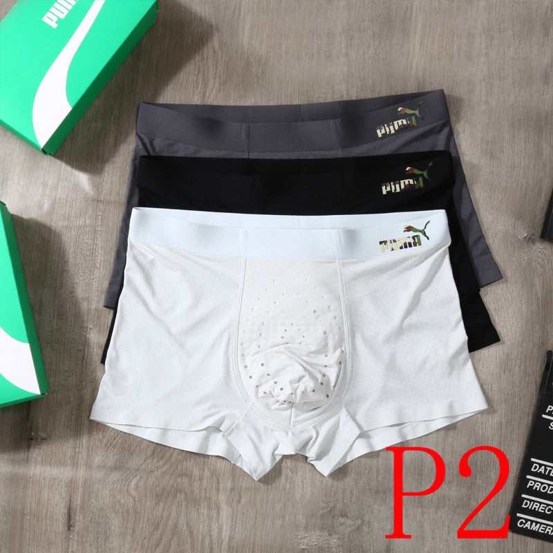 PTS1 All Underpants L-XXXL boxer briefs 3 with Box
