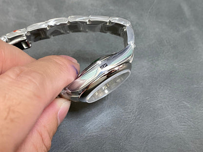 RW64   Women's new fashion watch 31mm