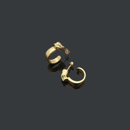 CAE02    New Fashion Earring Jewelry