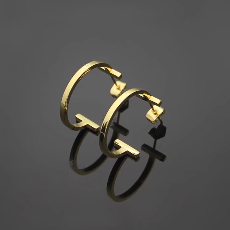 TE04 Fashion New Style Earring Jewelry