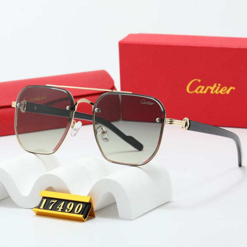 17490 Sunglasses with box