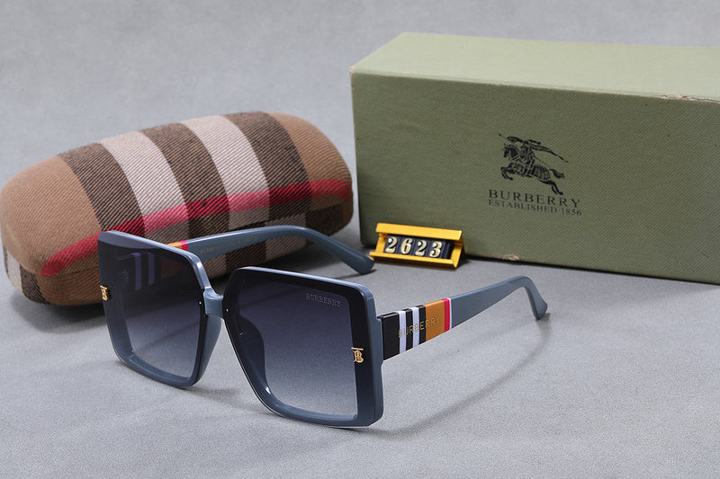 2623  Sunglasses with box