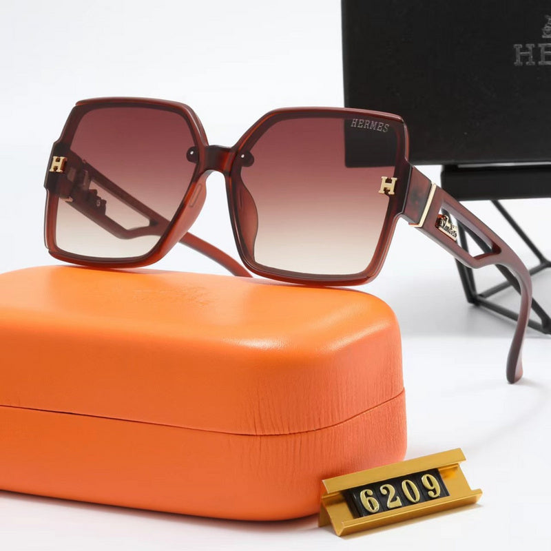 6209 Sunglasses with box