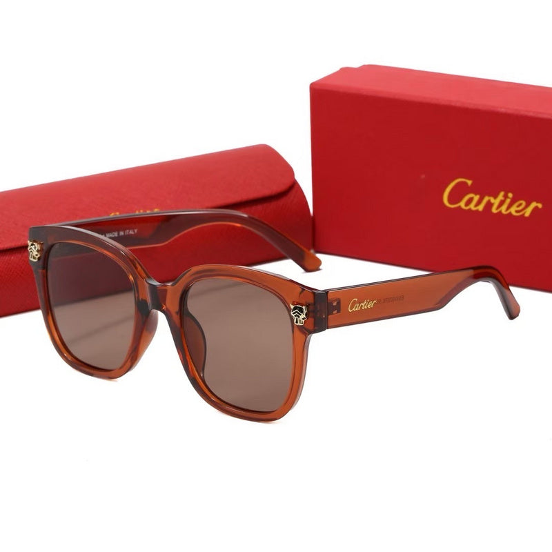 0376  Sunglasses with box