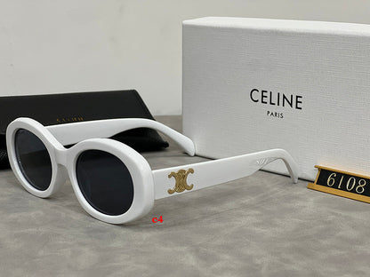 6108 Sunglasses with box