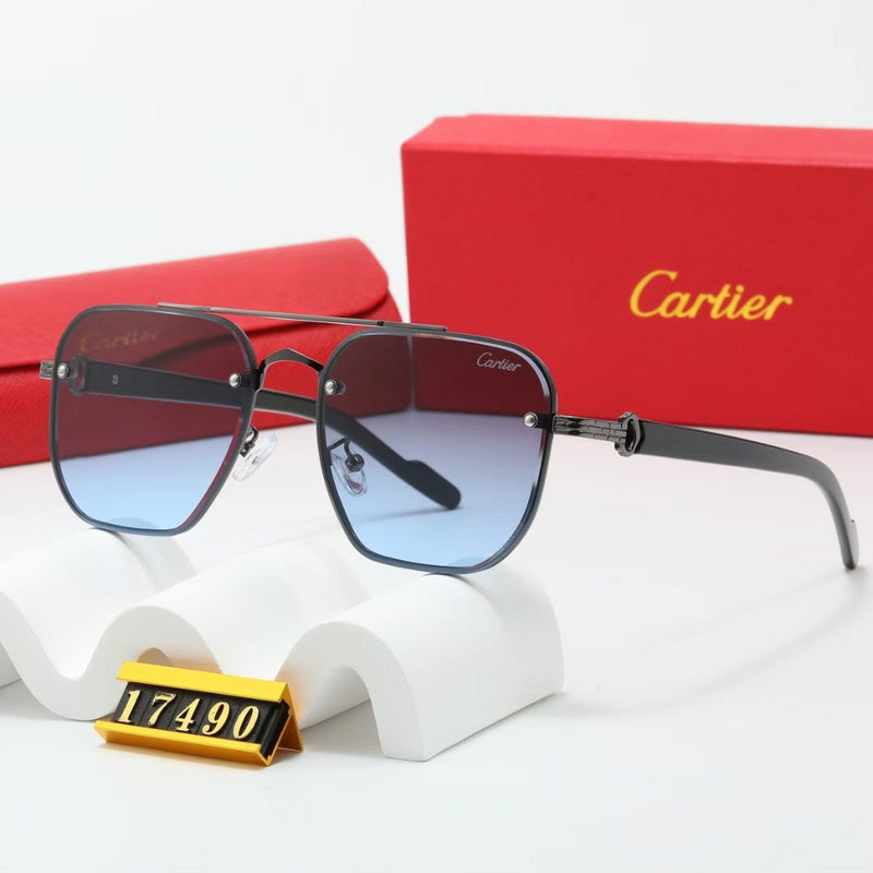 17490 Sunglasses with box