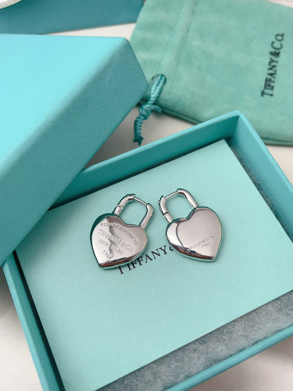 A1153 Women's titanium steel earrings and jewelry