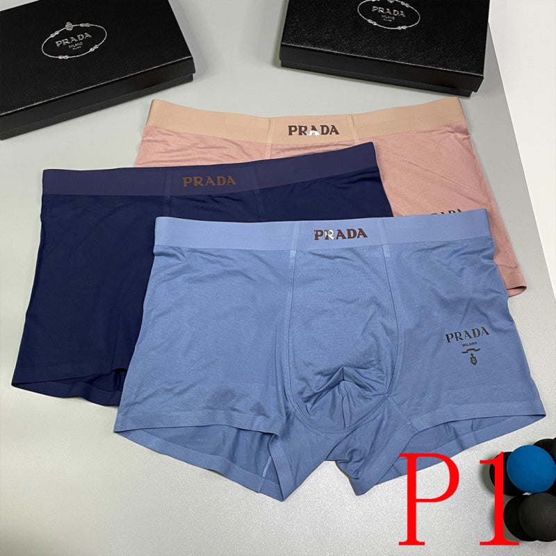 PTS1 All Underpants L-XXXL boxer briefs 3 with Box