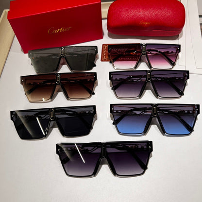 7663 Sunglasses with box