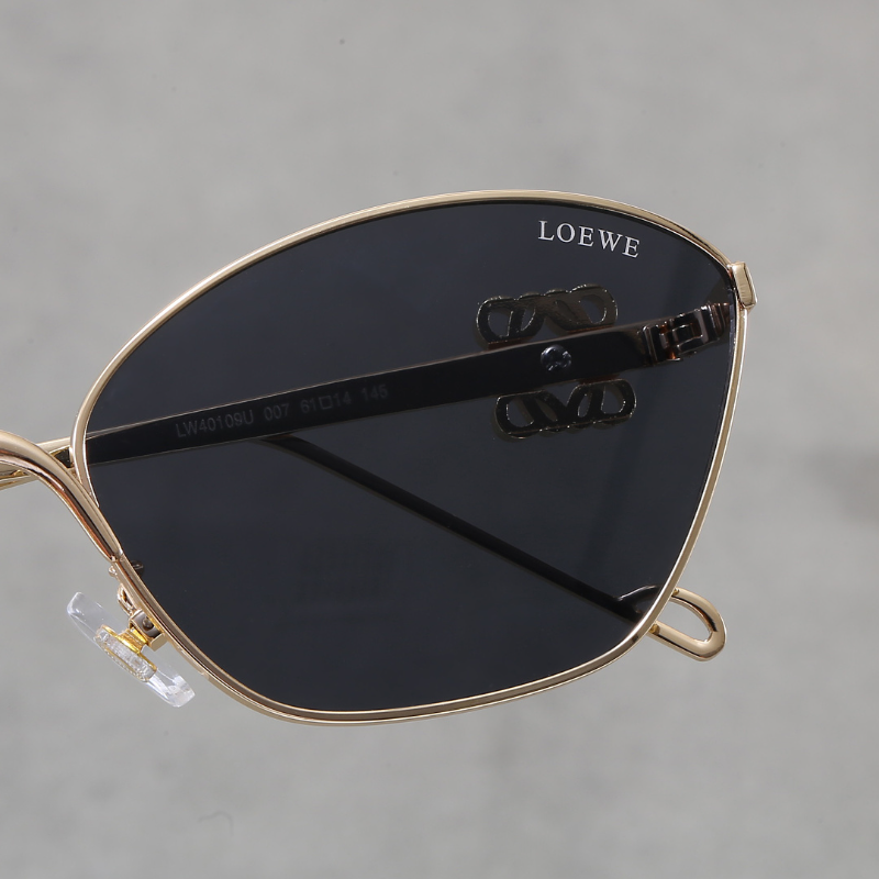 4109 Sunglasses with box