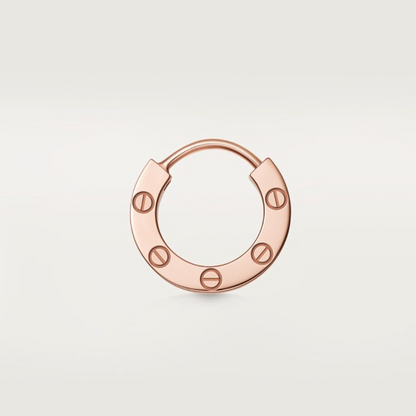 A1238  Women's new fashionable earring jewelry