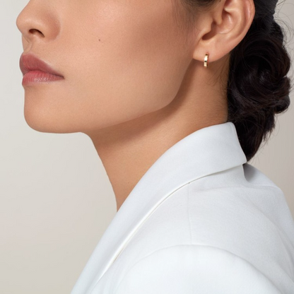 A1238  Women's new fashionable earring jewelry