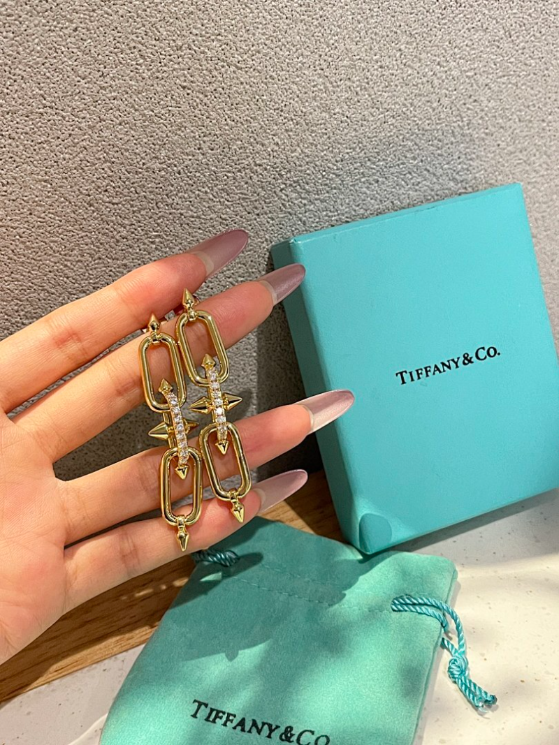 A1240   Women's new fashionable earring jewelry