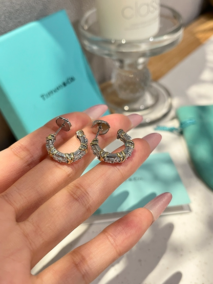 A1241  Women's new earring jewelry