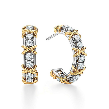 A1241  Women's new earring jewelry