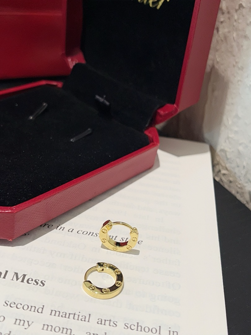 A1238  Women's new fashionable earring jewelry