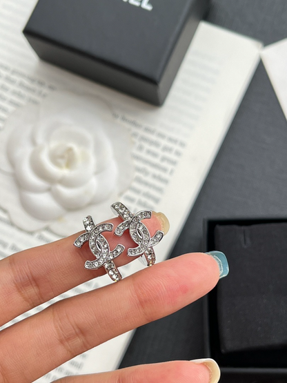 A1189  Women's new fashionable earring jewelry