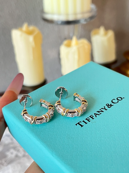 A1241  Women's new earring jewelry